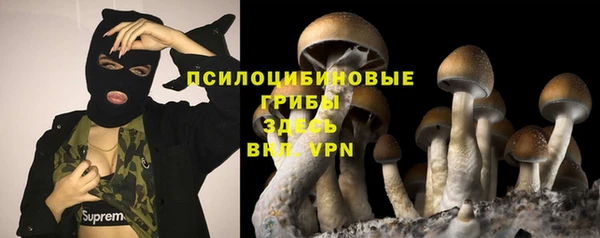 соль курить ск Алексин