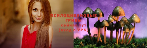 крисы Алзамай