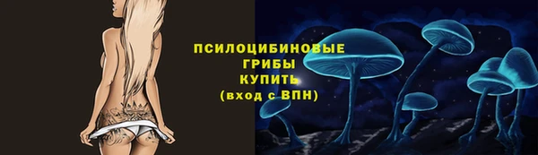 мяу мяу мука Алексеевка