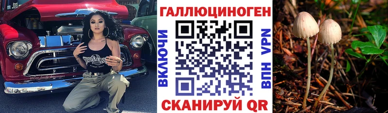 Галлюциногенные грибы Psilocybine cubensis  где найти   Нефтекумск 