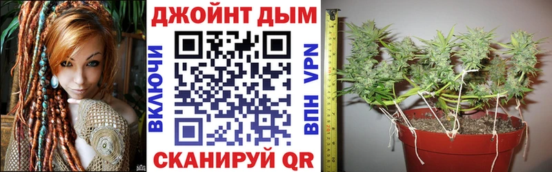 Конопля индика  купить наркотики цена  Нефтекумск 